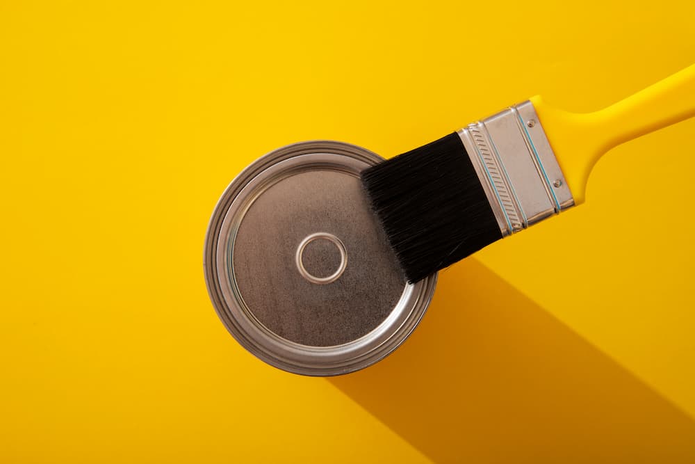 Vopsirea ușilor interioare