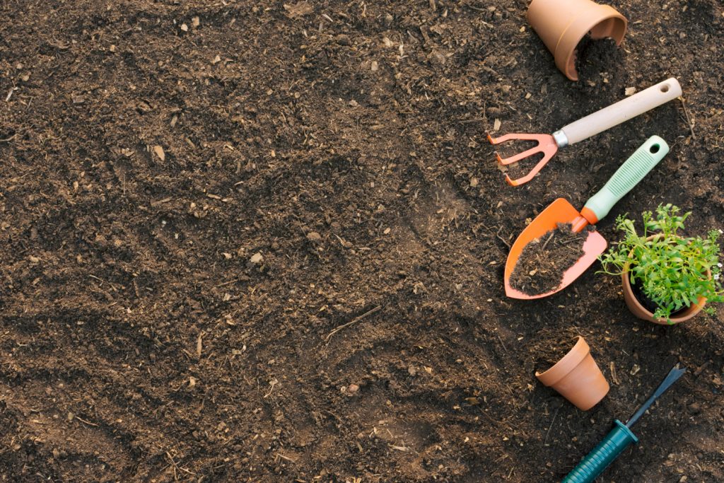 cunoasterea particularitatilor geografice in amenajarea gradinii