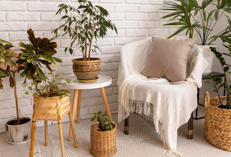 Amenajarea balconului în stil Boho. Sursa: Image by <a href="https://www.freepik.com/free-photo/interior-design-with-plants_20080604.htm#query=boho%20furniture&position=1&from_view=search&track=ais"/>Freepik