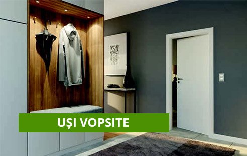 Usi interior vopsite